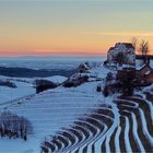 Winterliche Weinbergromantik...