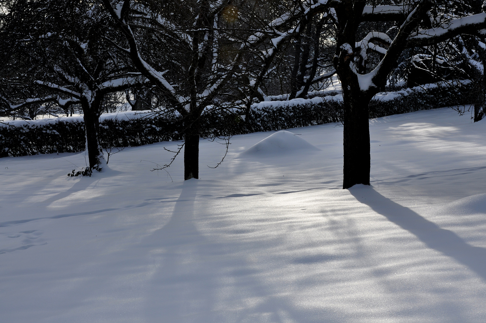 Winterliche Wiesenlandschaft