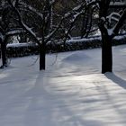 Winterliche Wiesenlandschaft