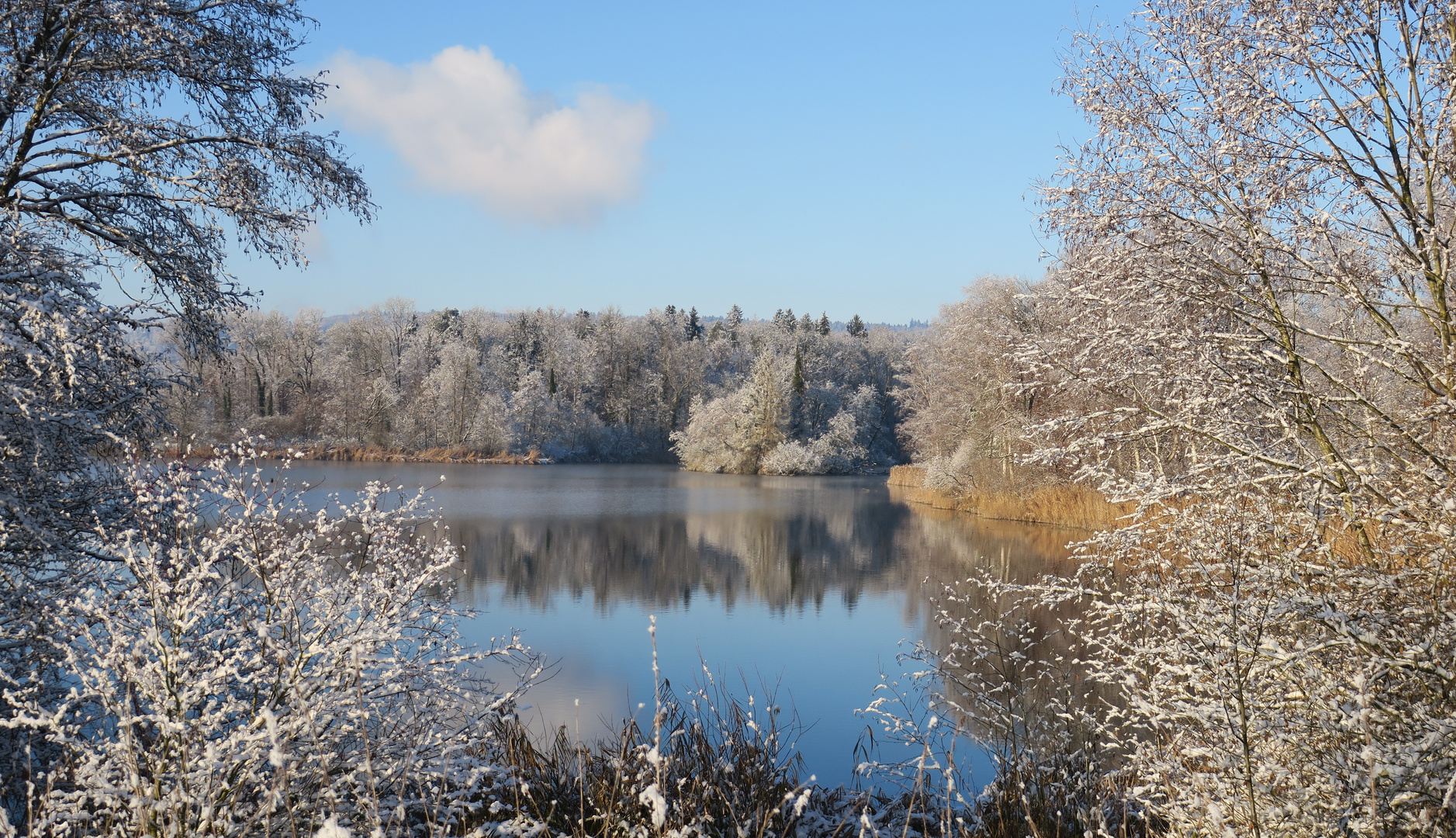 winterlicher