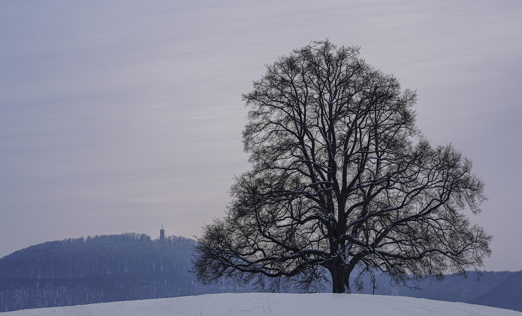 Winterlicher Abend