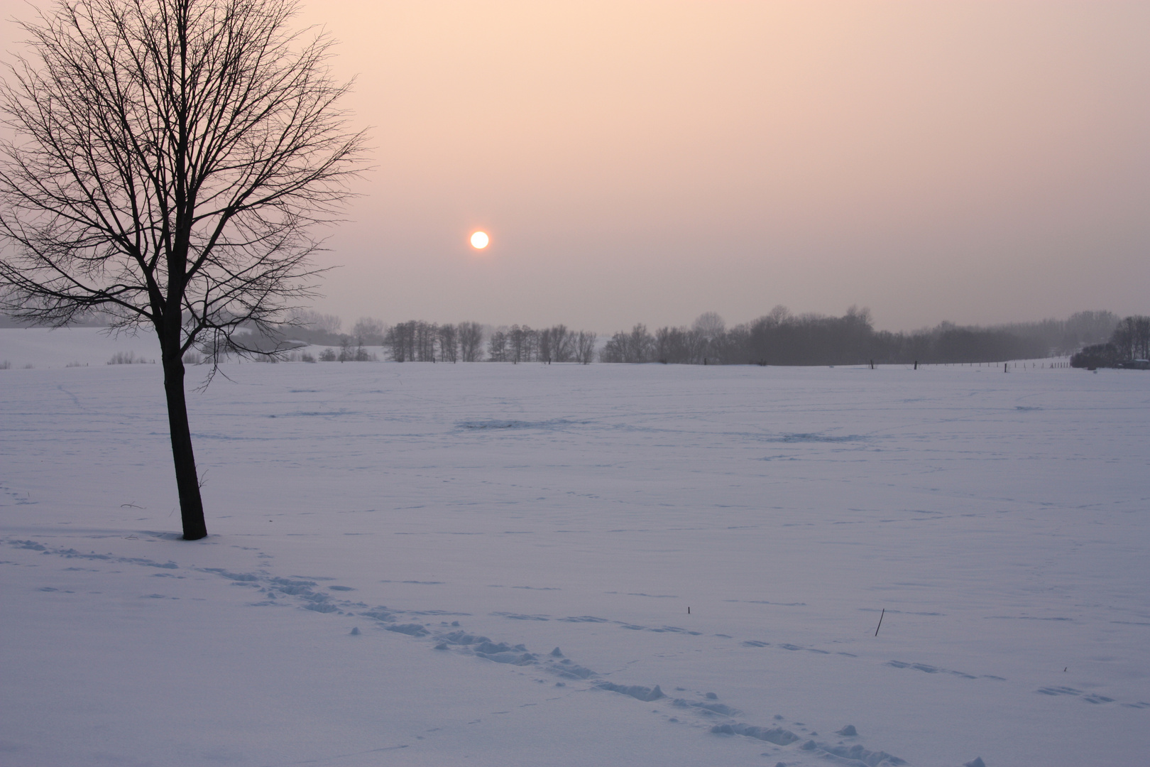 winterlicher Abend in Mecklenburg