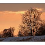 winterlicher Abendspaziergang......