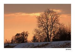 winterlicher Abendspaziergang......