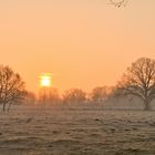 Winterlicher Ammerländer Morgenhimmel