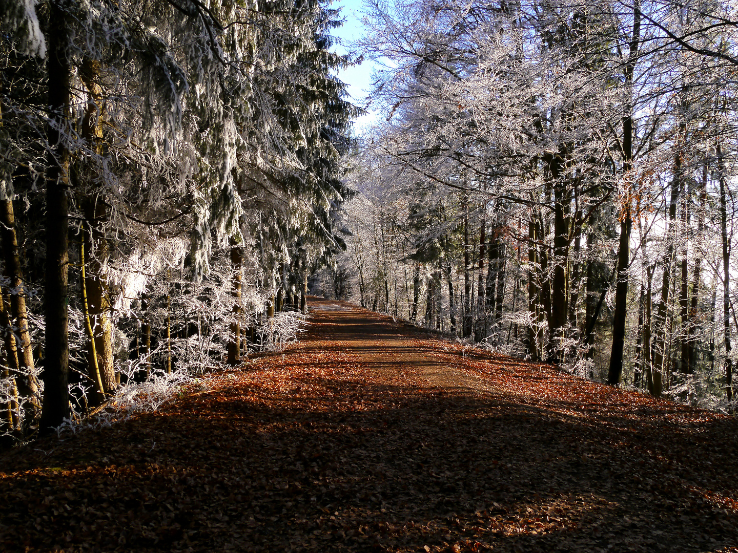 Winterlicher Aufstieg ...