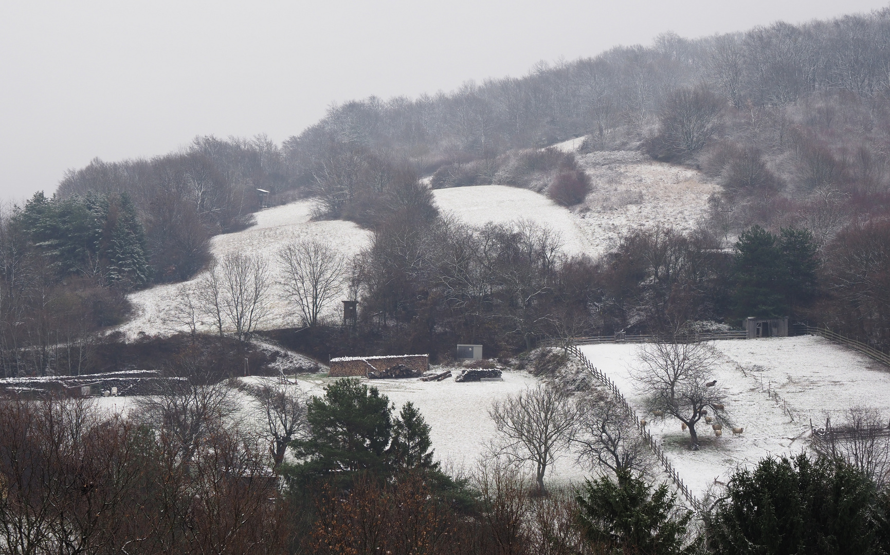 winterlicher Ausblick