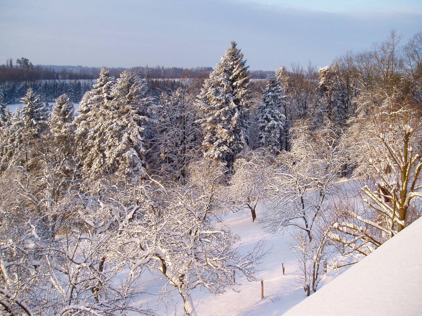 Winterlicher Ausblick