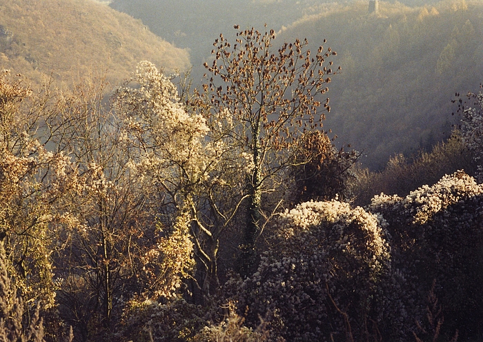 Winterlicher Ausblick von Schloss Dhaun im Naheland