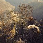 Winterlicher Ausblick von Schloss Dhaun im Naheland