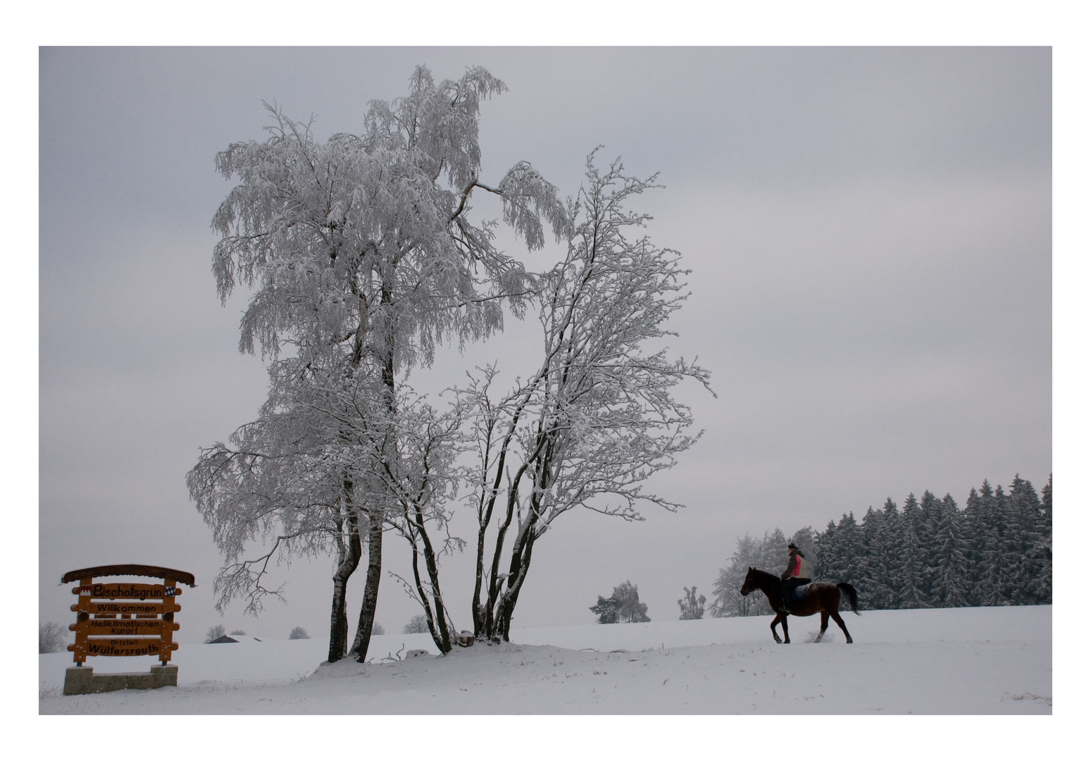 Winterlicher Ausritt...