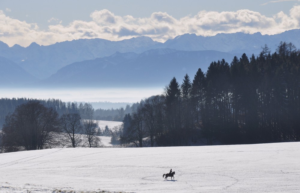 winterlicher Ausritt