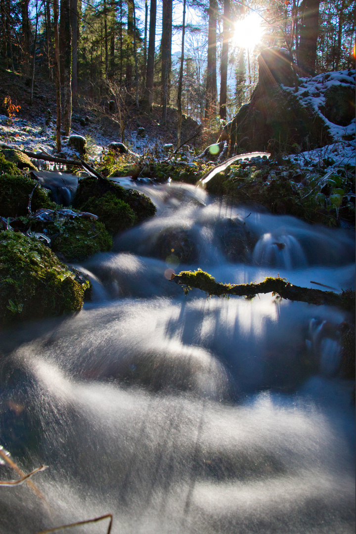 winterlicher Bach