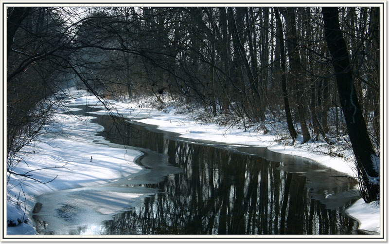 winterlicher Bachlauf