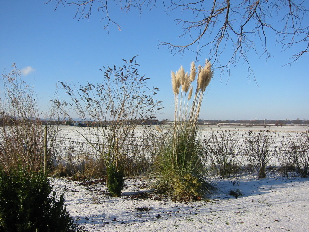 Winterlicher Bauerngarten