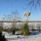 Winterlicher Bauerngarten