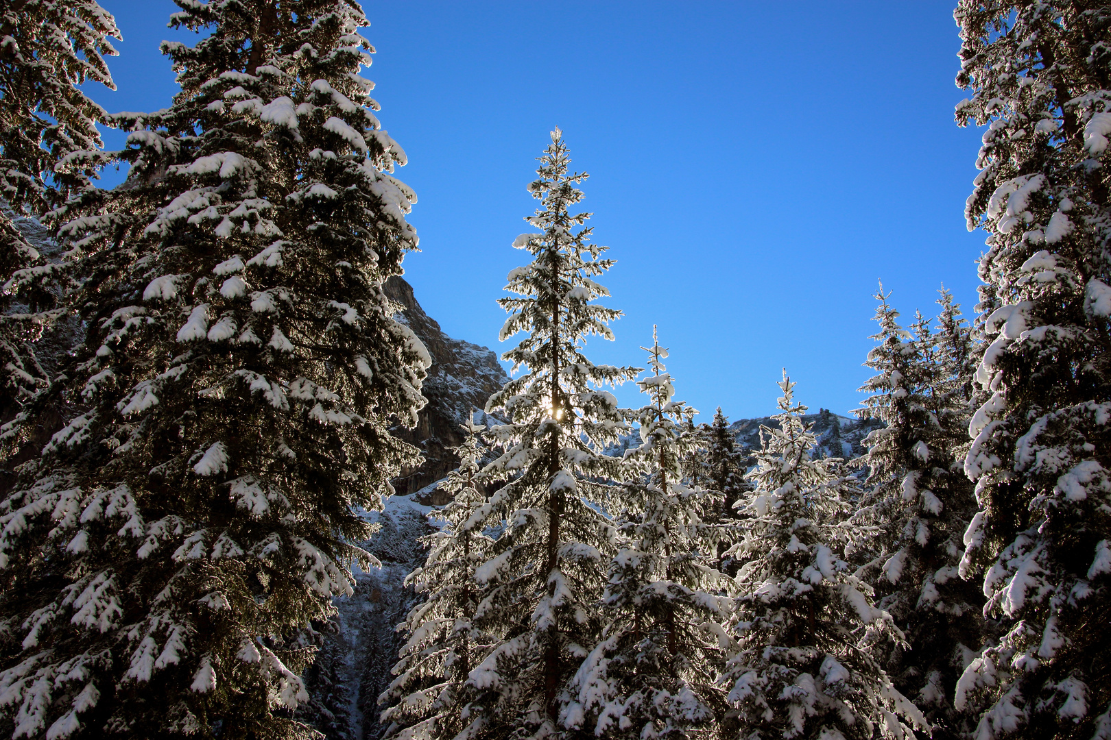 Winterlicher Bergwald