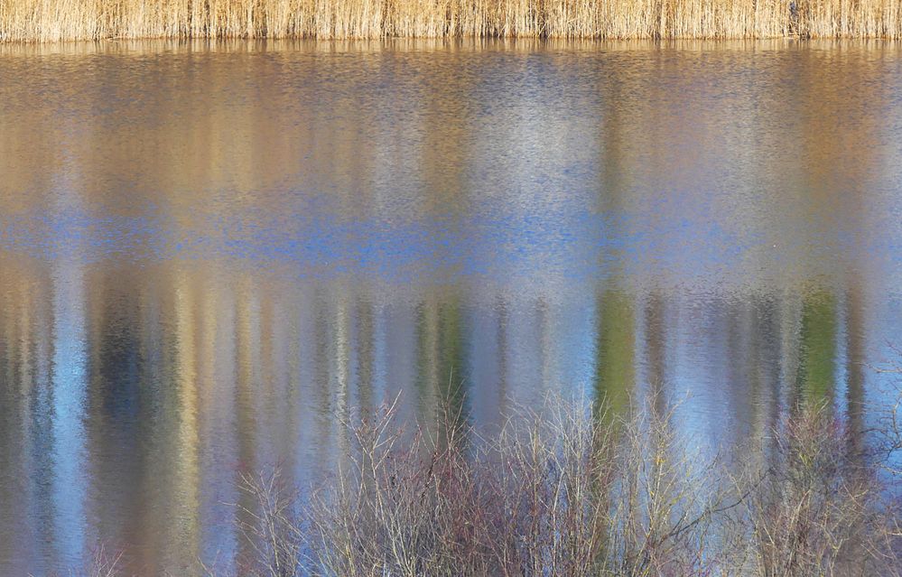 Winterlicher Bergweiher