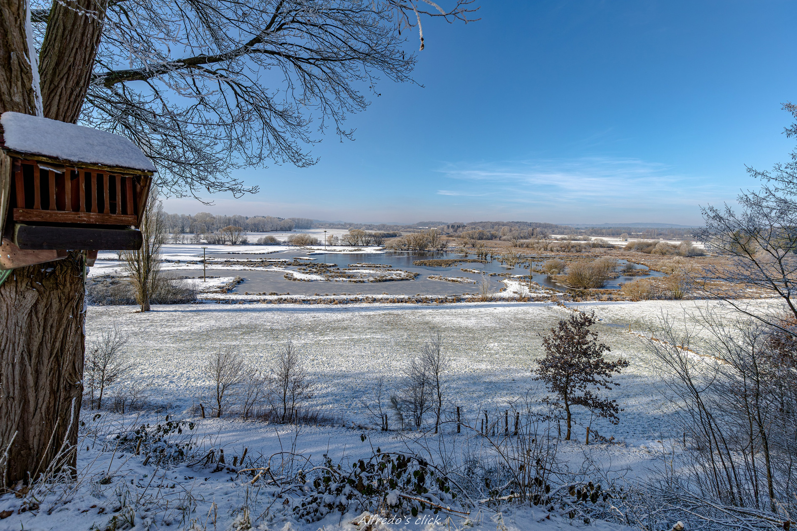 Winterlicher Biotop