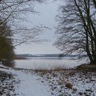 winterlicher Blick auf den Tollensesee