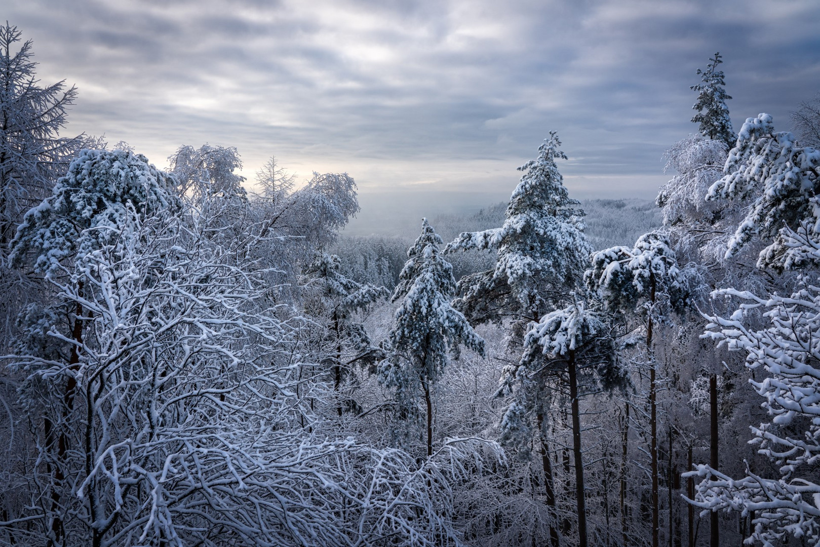 Winterlicher Blick vom Turm