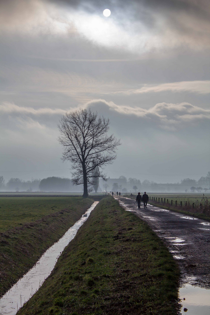 Winterlicher Blick zum Wiehengebirge