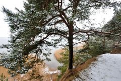 winterlicher Boddenblick