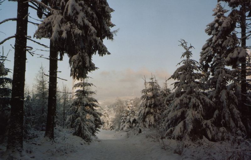 winterlicher Brandenkopf