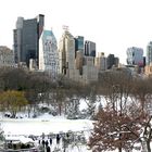 winterlicher Central Park