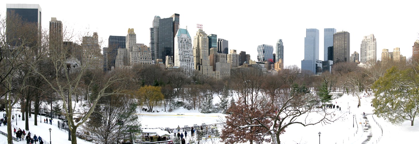 winterlicher Central Park