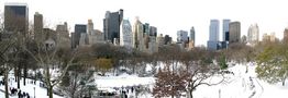 winterlicher Central Park by RAJU03