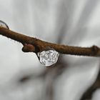 winterlicher Diamant