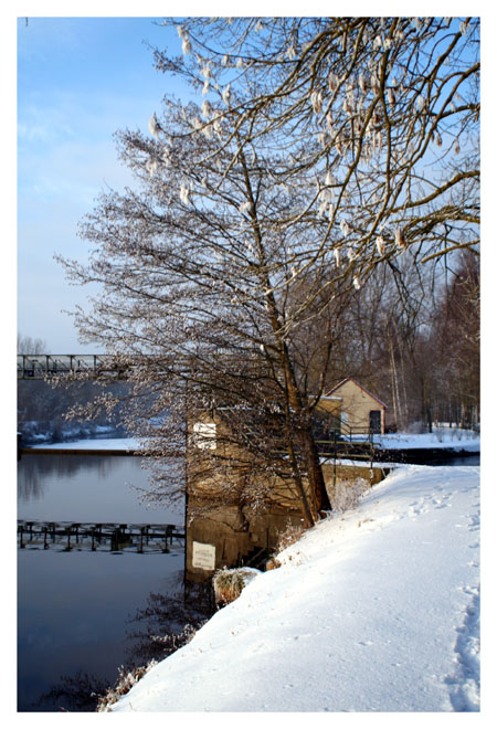 Winterlicher Donaukanal