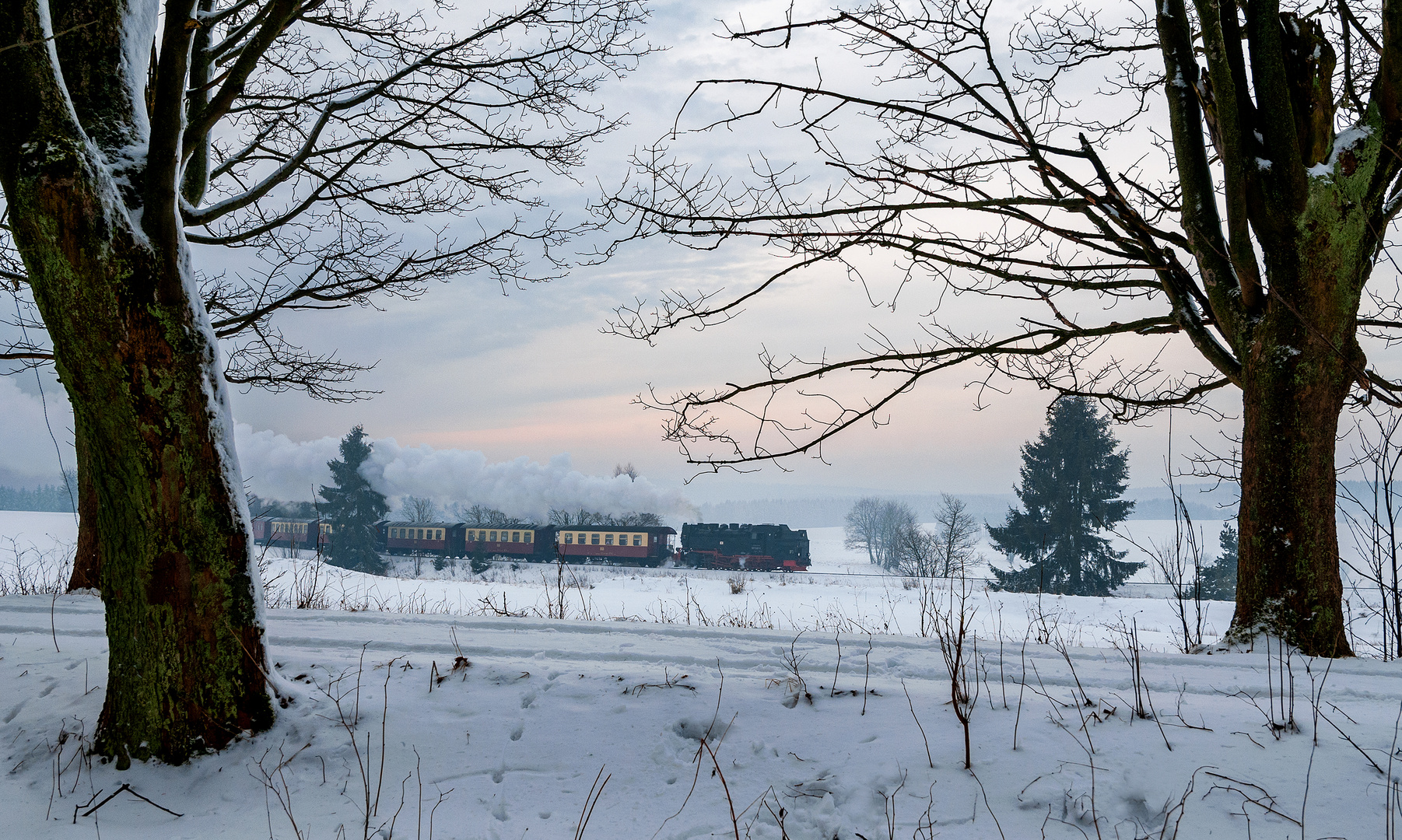 Winterlicher Durchblick