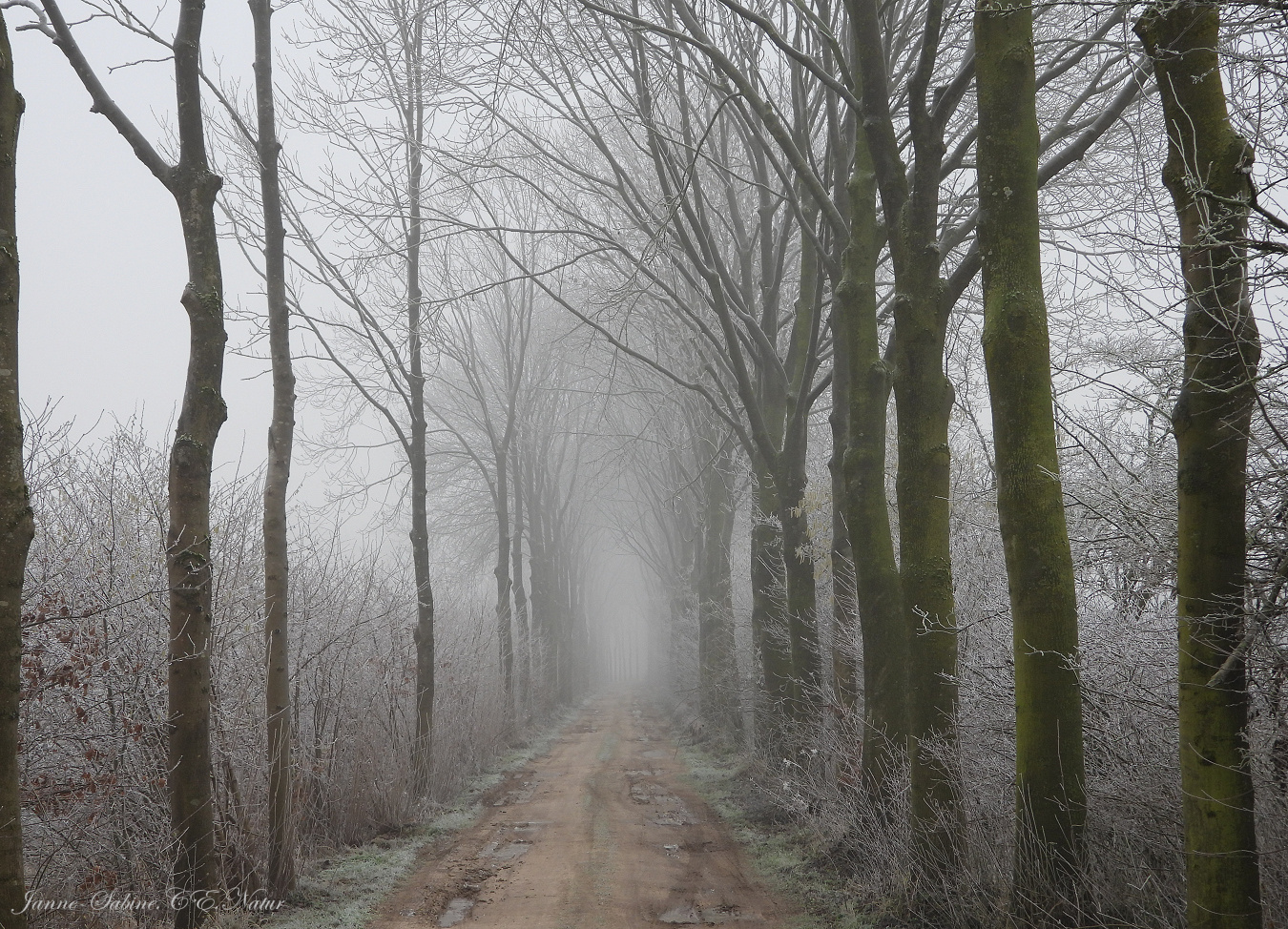 Winterlicher Durchblick