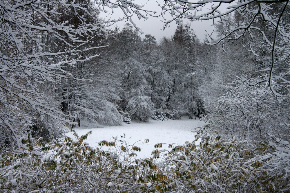 Winterlicher Durchblick