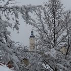 winterlicher Durchblick