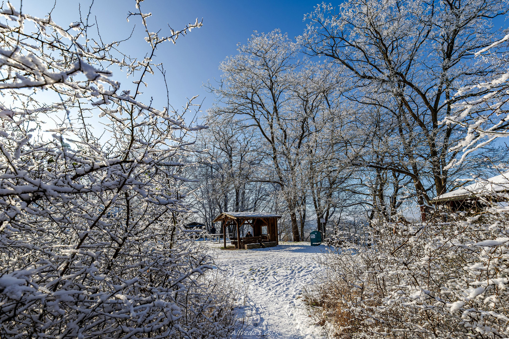 Winterlicher Durchblick