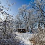 Winterlicher Durchblick