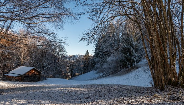 Winterlicher Durchblick