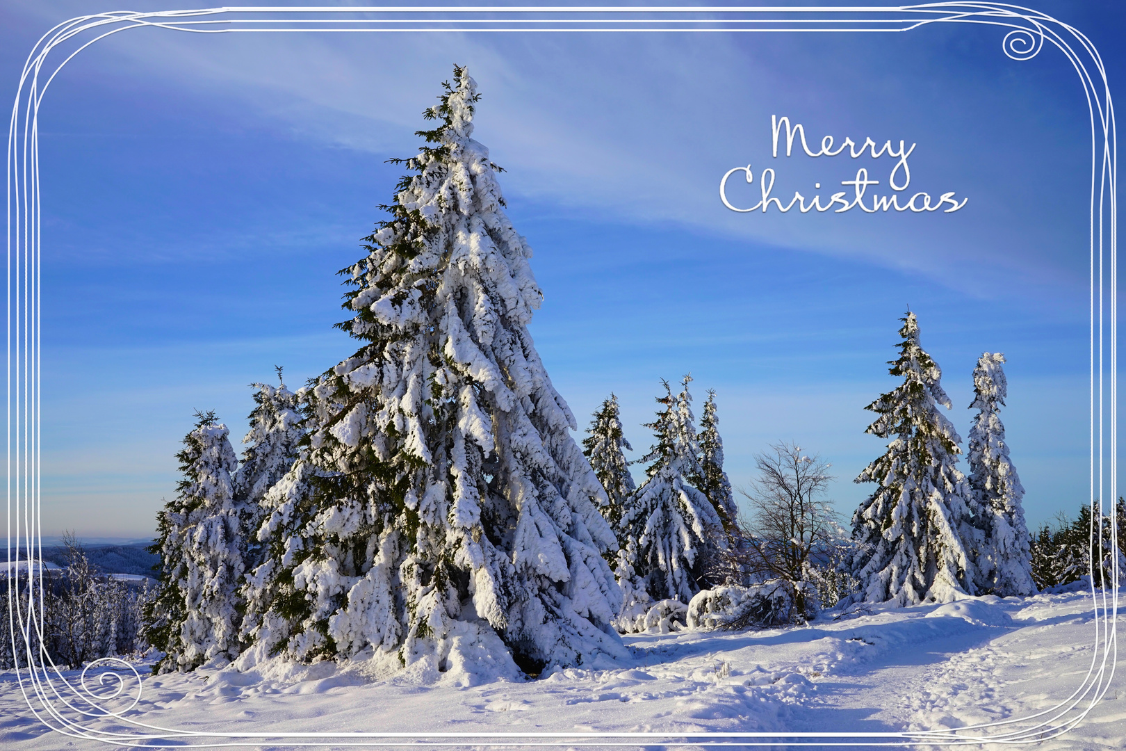 Winterlicher Durchblick mit Weihnachtsgrüßen