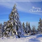 Winterlicher Durchblick mit Weihnachtsgrüßen