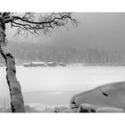 Winterlicher Eibsee...