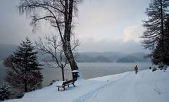 Winterlicher Eibsee (I)