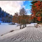 Winterlicher Eisenbachsee