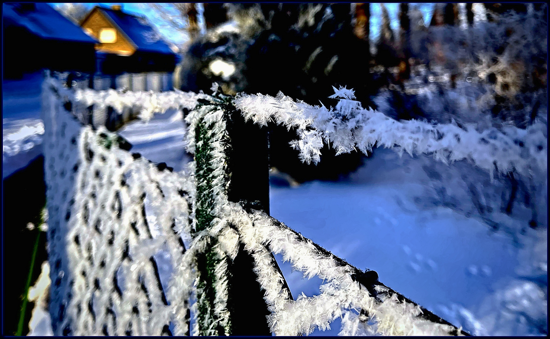 Winterlicher Eisstacheldraht