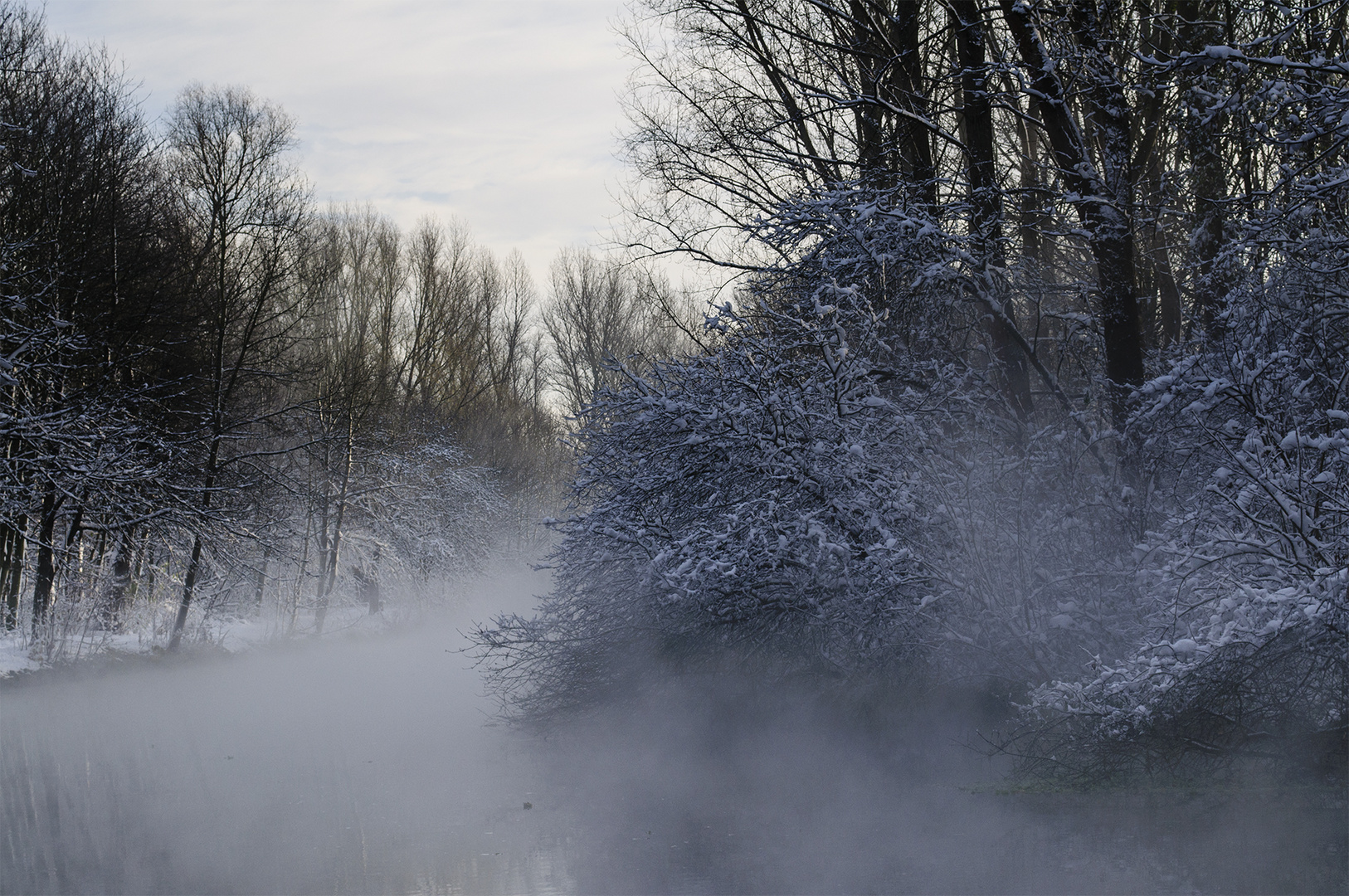 Winterlicher Erftnebel