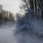 Winterlicher Erftnebel