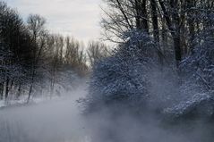 Winterlicher Erftnebel