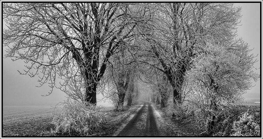 winterlicher Feldweg